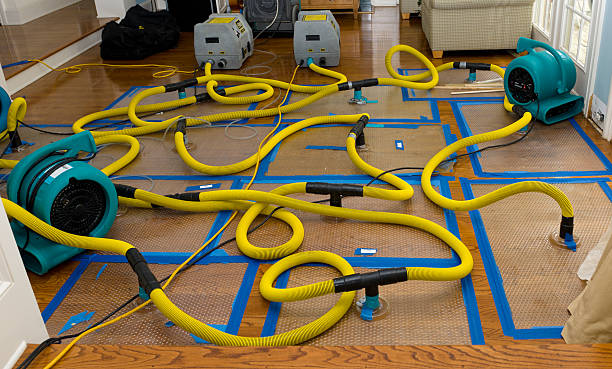 Professional Structural Drying And Dehumidification technician working in Brunswick, OH